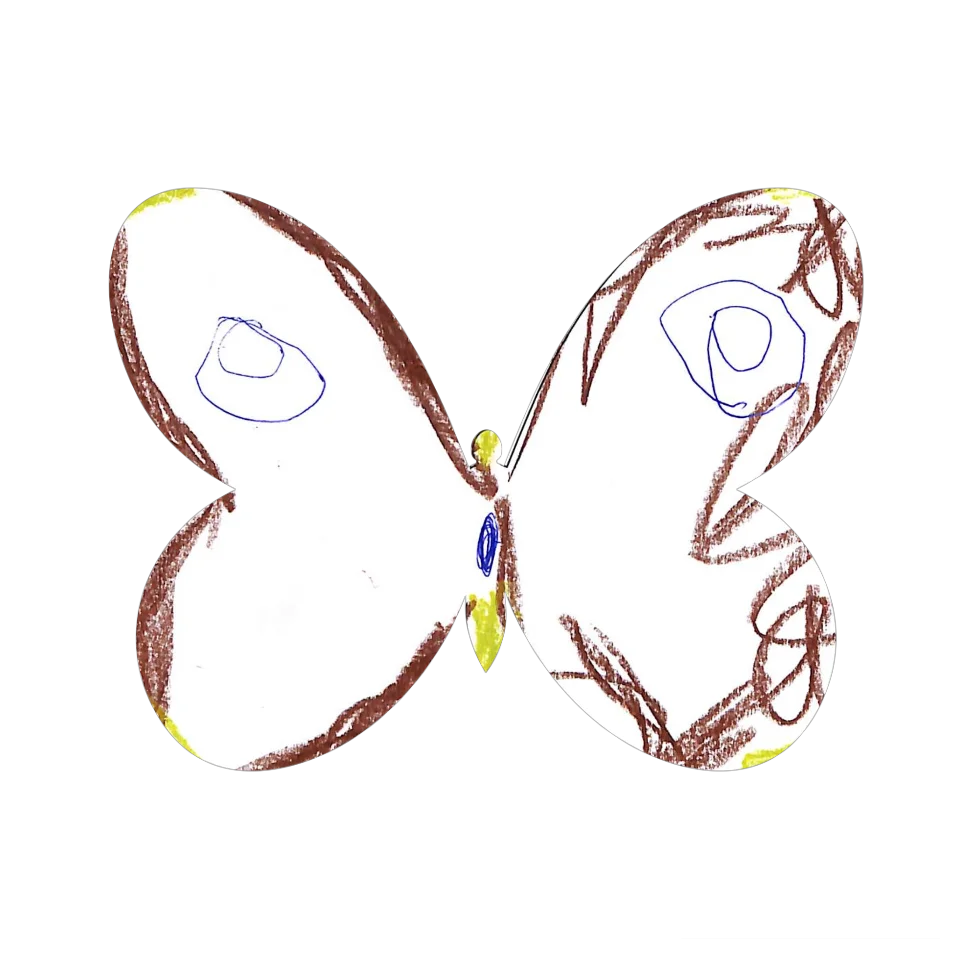 Original Butterfly Image