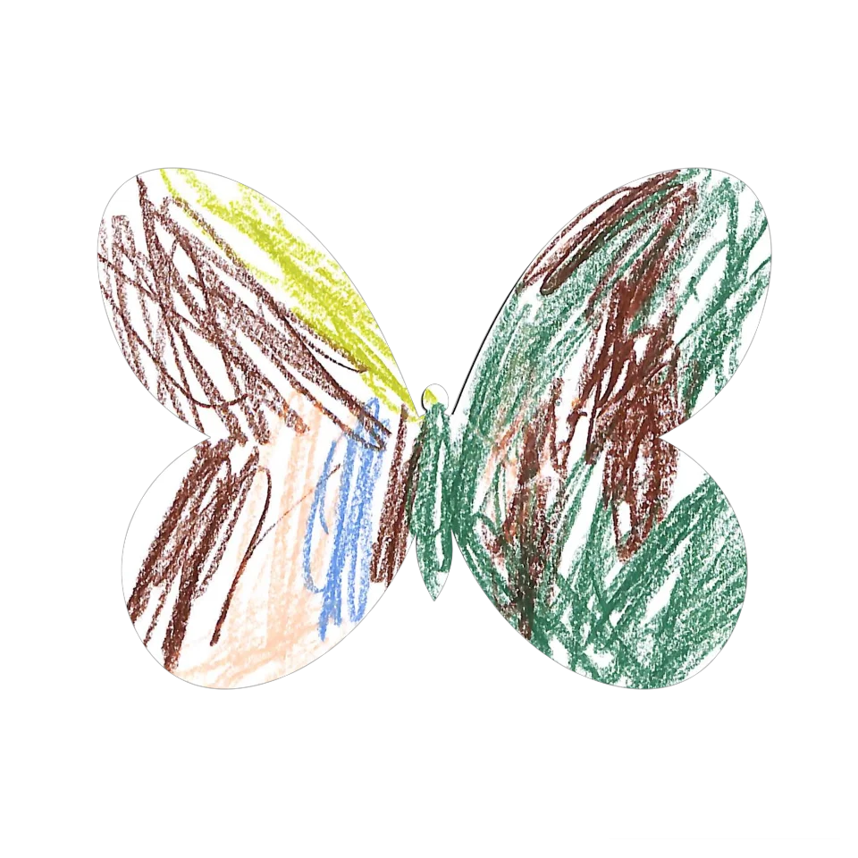 Original Butterfly Image