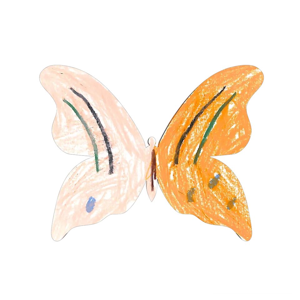 Original Butterfly Image