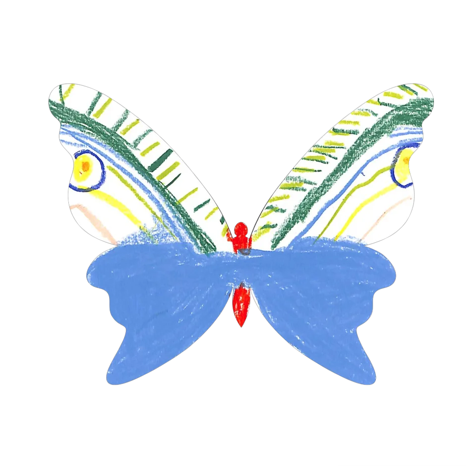 Original Butterfly Image