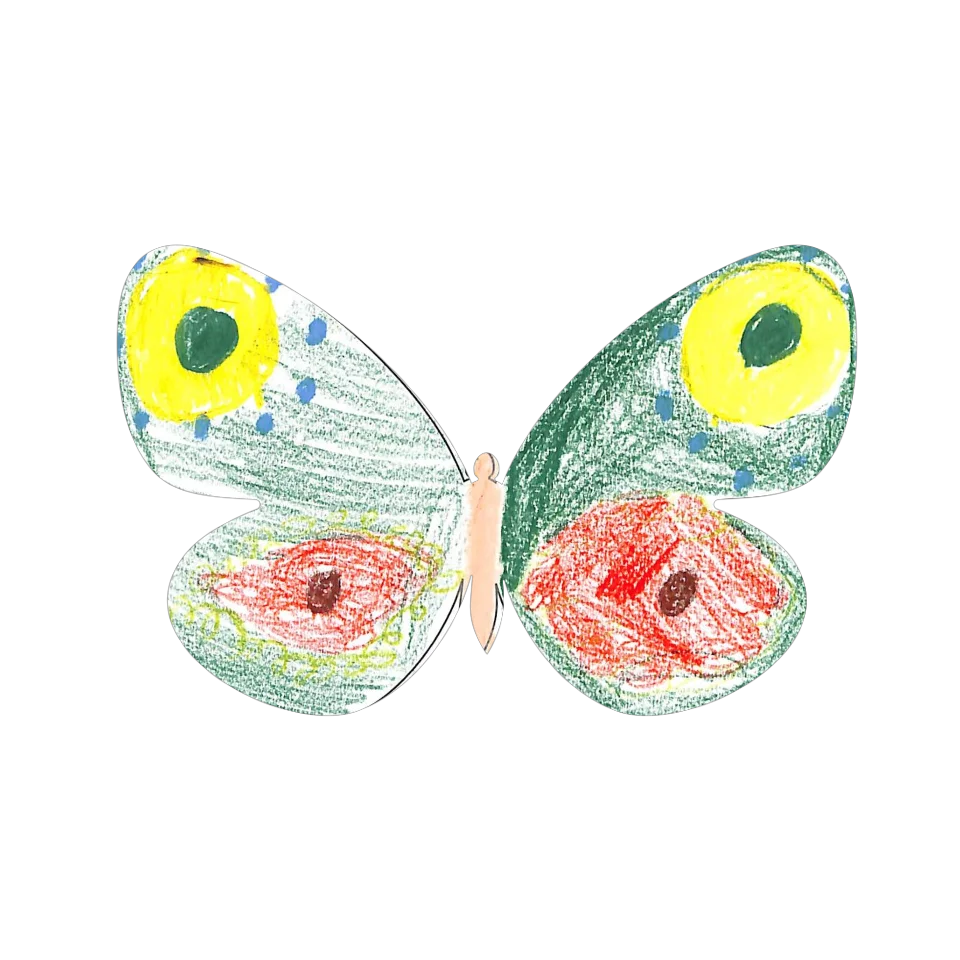 Original Butterfly Image