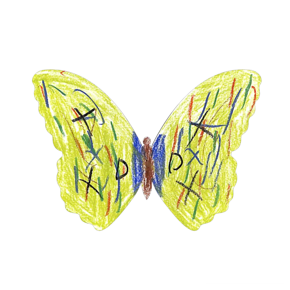 Original Butterfly Image