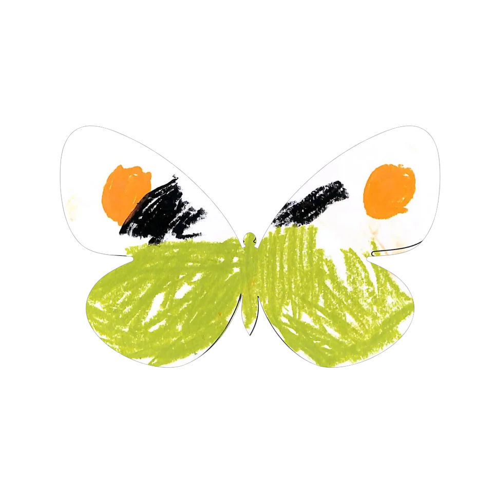 Original Butterfly Image