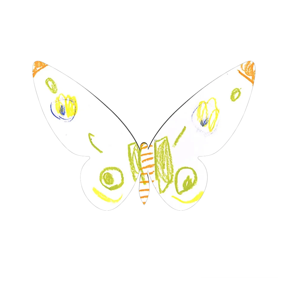 Original Butterfly Image