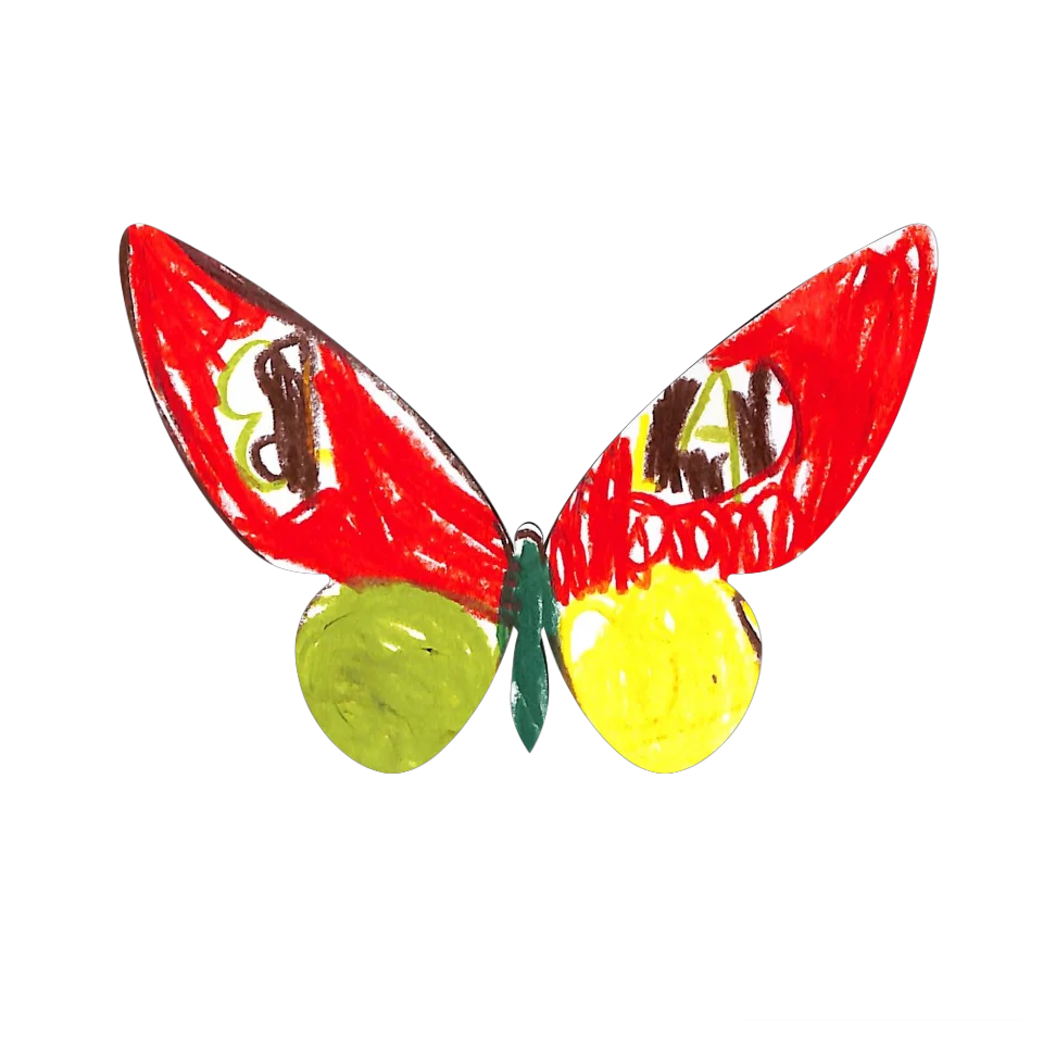 Original Butterfly Image