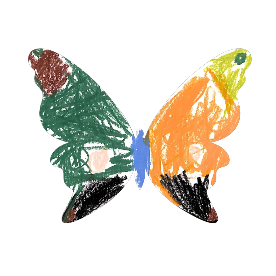 Original Butterfly Image