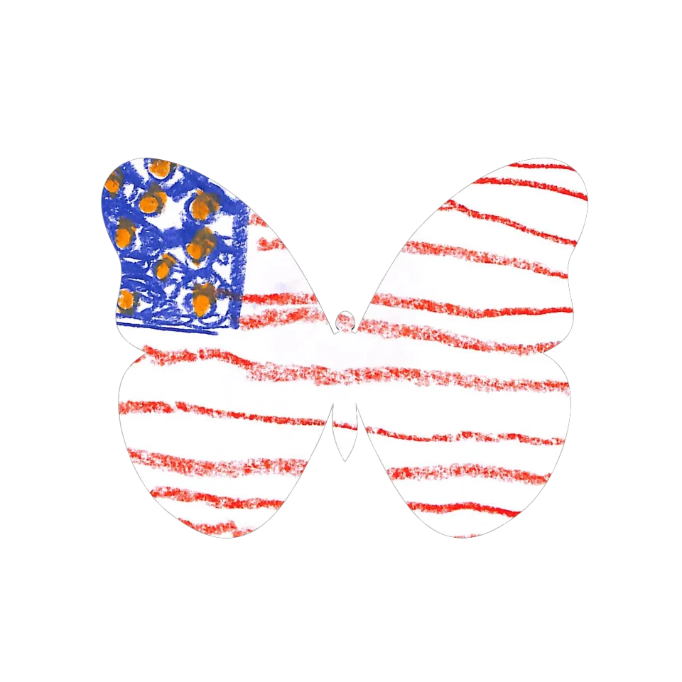 Original Butterfly Image