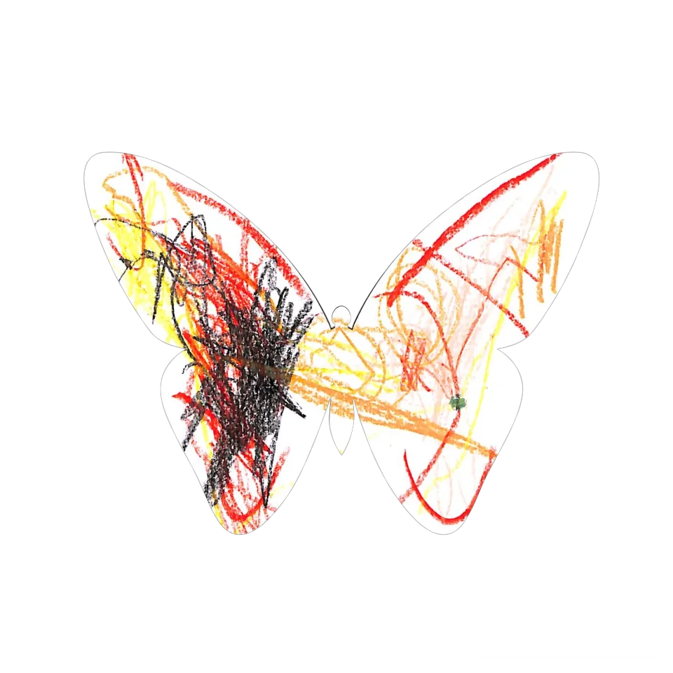 Original Butterfly Image
