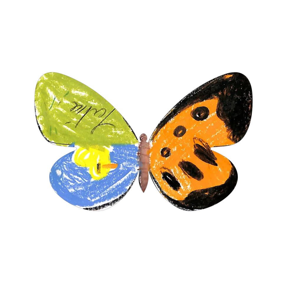 Original Butterfly Image