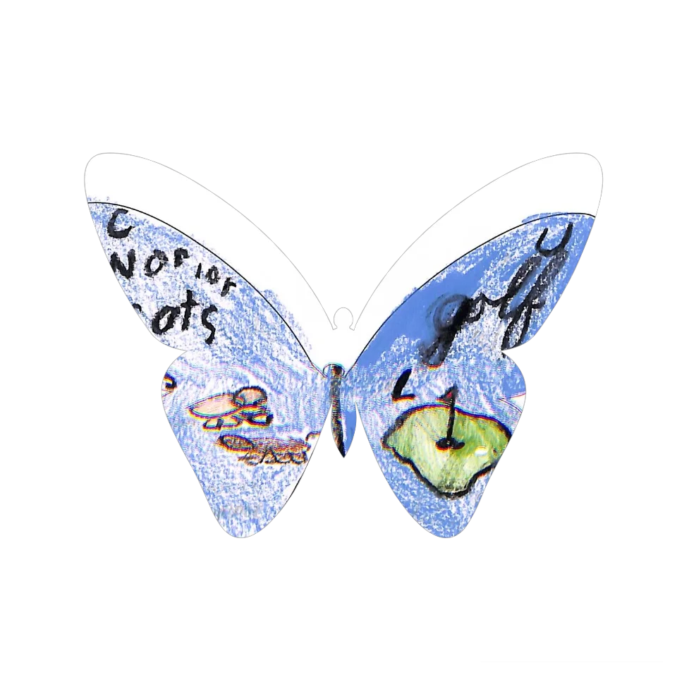 Original Butterfly Image