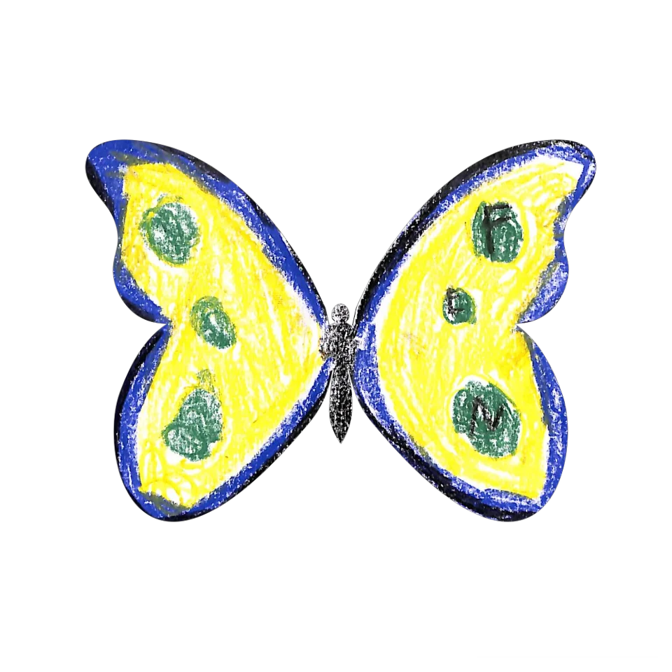Original Butterfly Image
