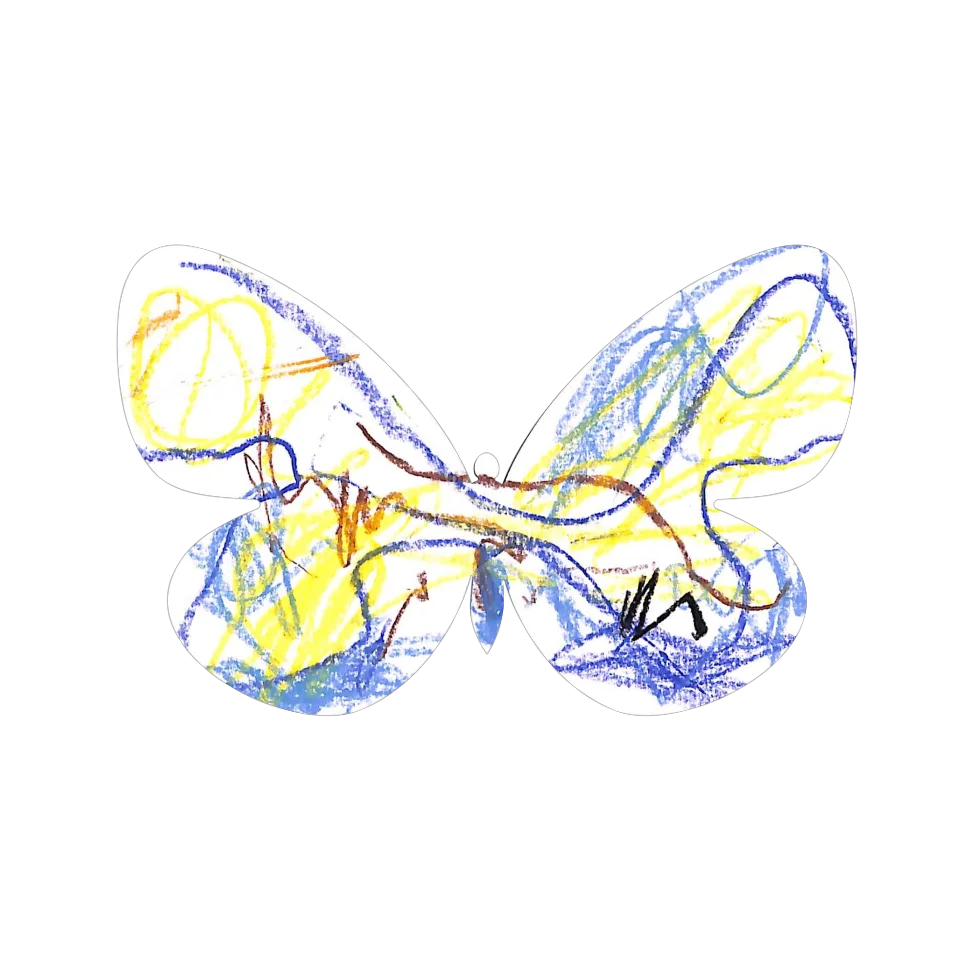 Original Butterfly Image