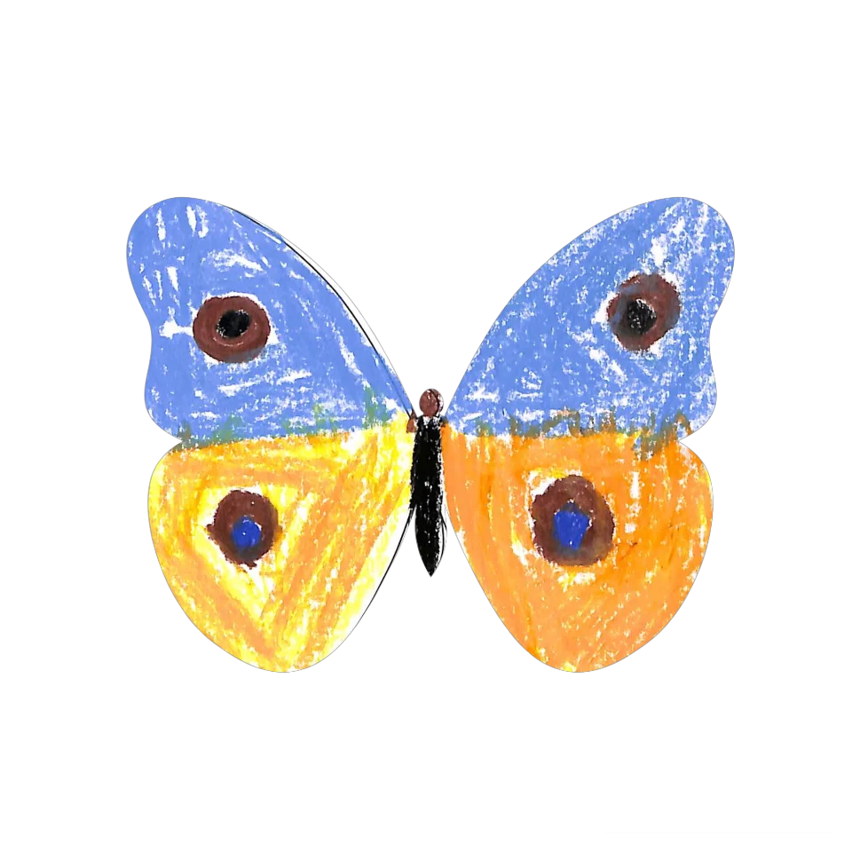 Original Butterfly Image