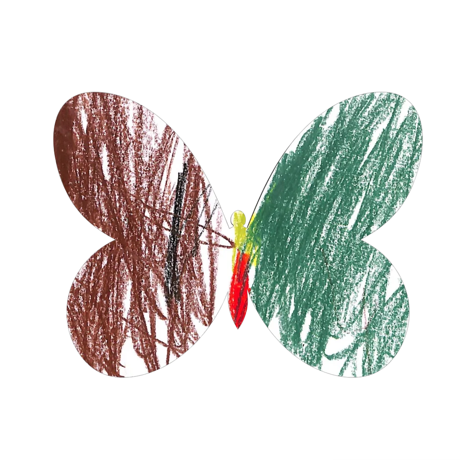 Original Butterfly Image