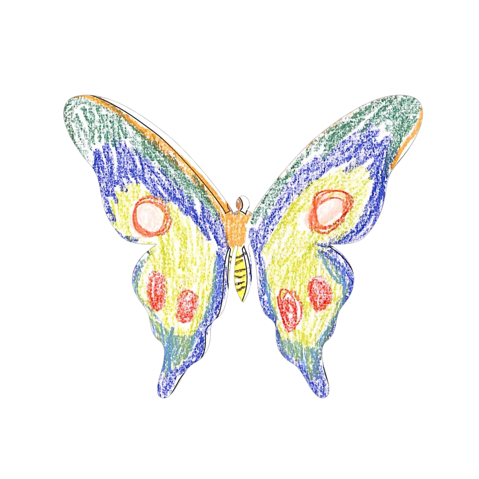 Original Butterfly Image