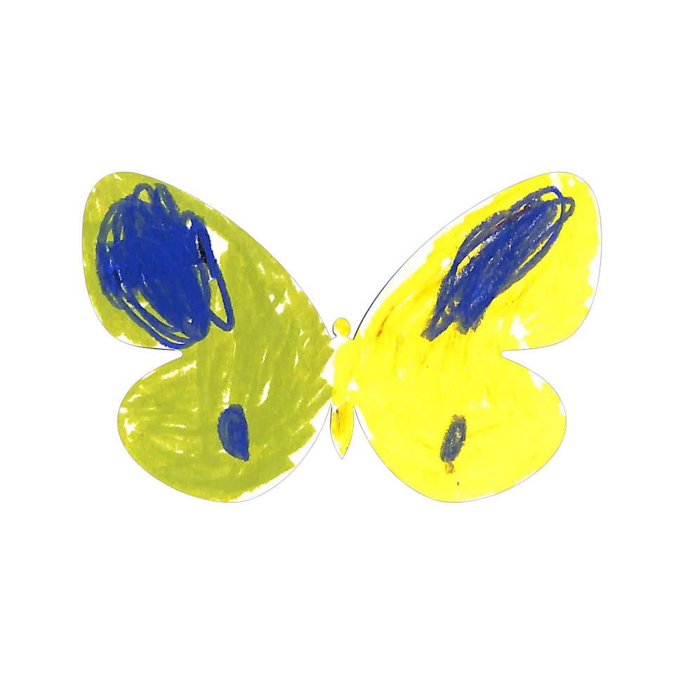 Original Butterfly Image