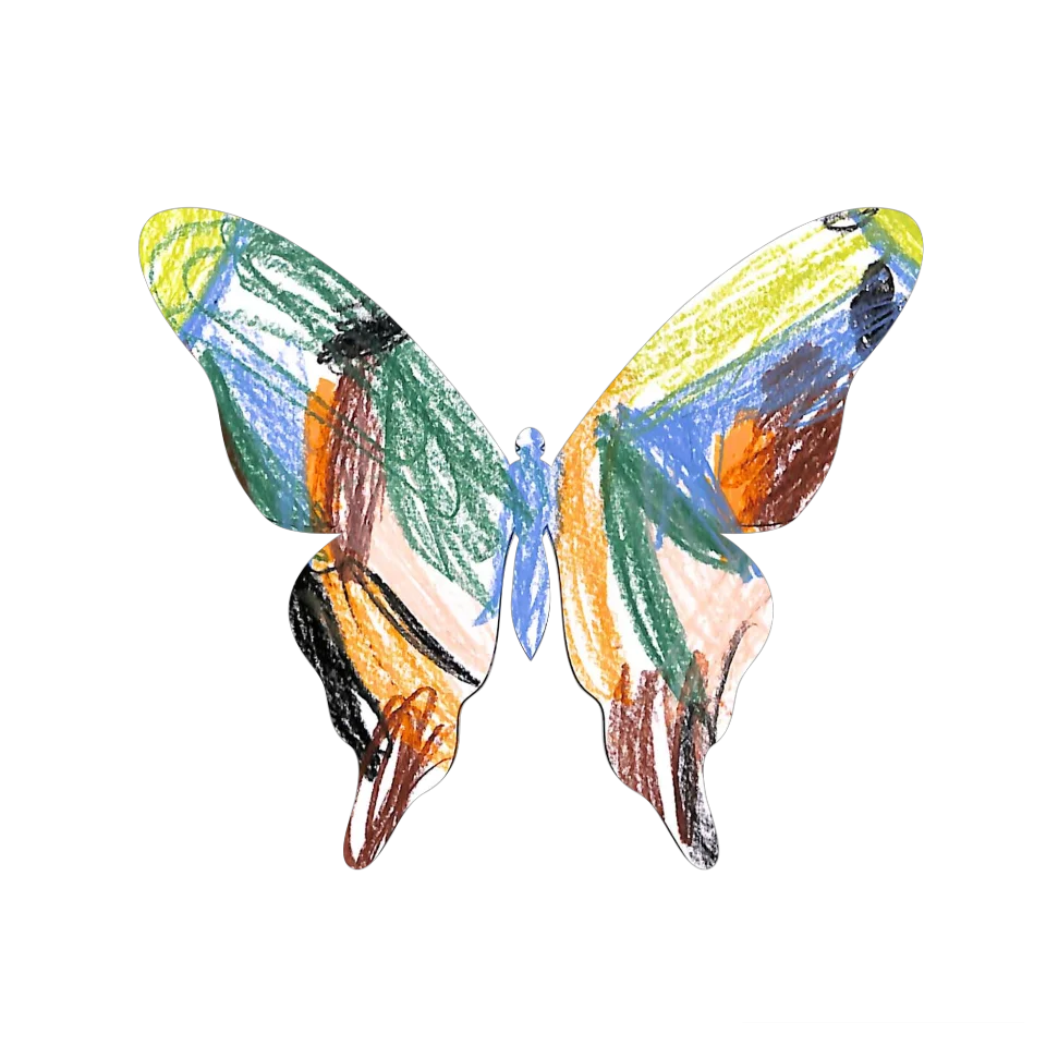 Original Butterfly Image