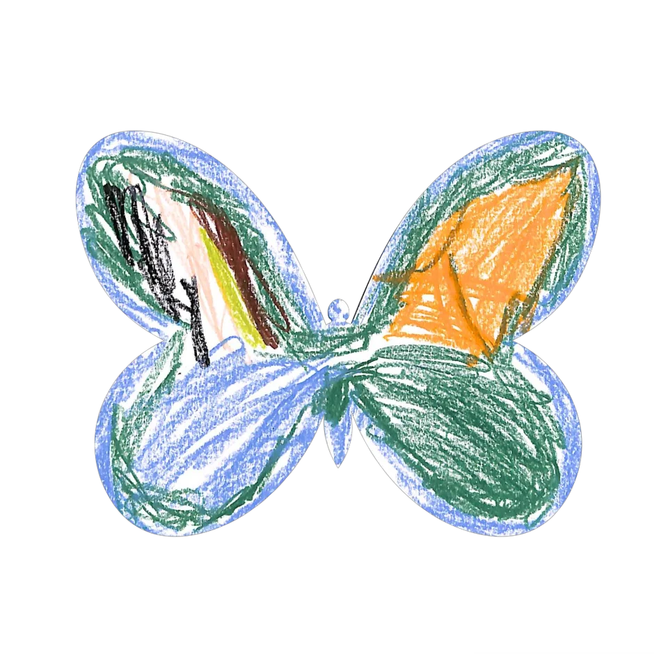 Original Butterfly Image