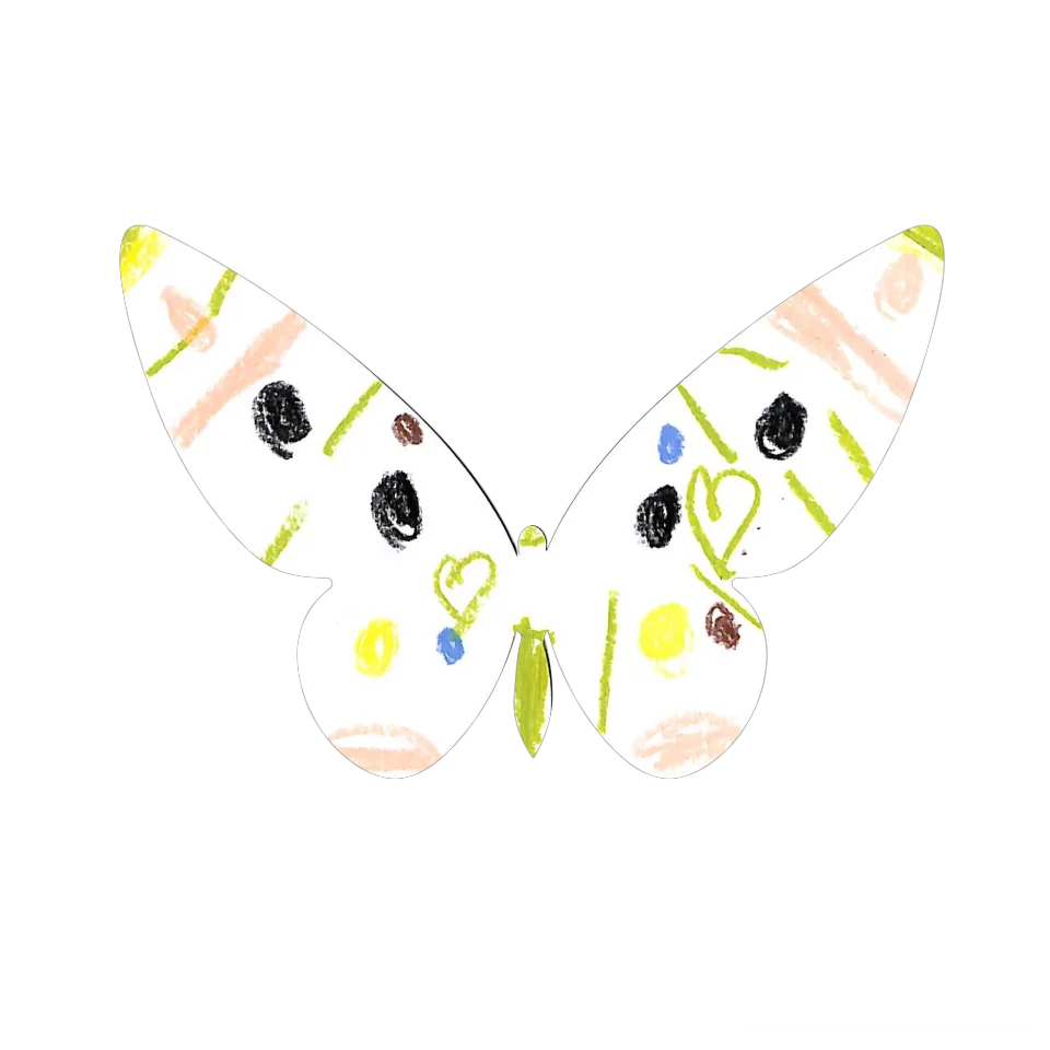 Original Butterfly Image