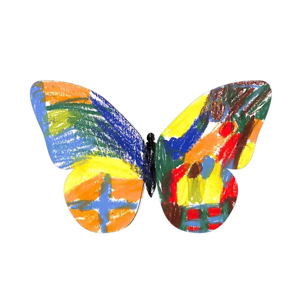 Original Butterfly Image