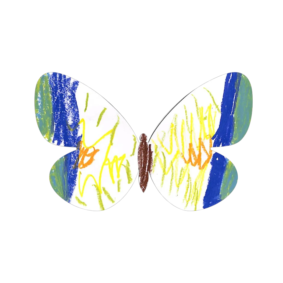 Original Butterfly Image