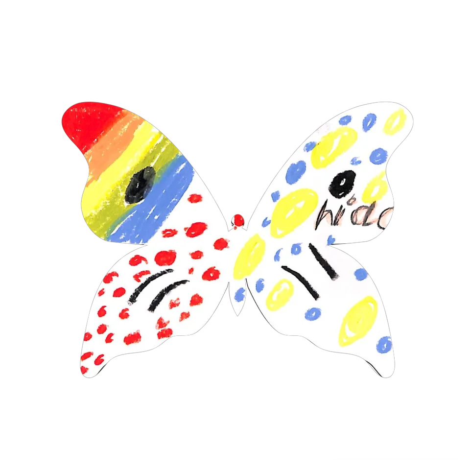 Original Butterfly Image