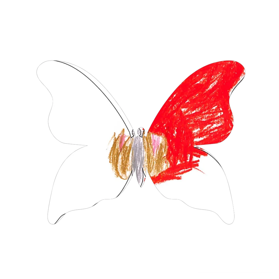 Original Butterfly Image