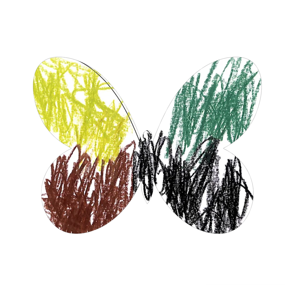 Original Butterfly Image