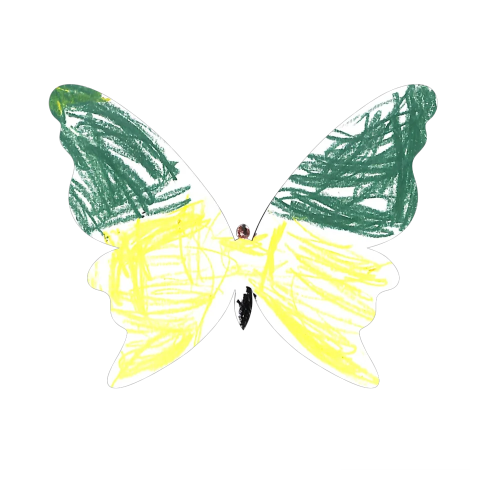 Original Butterfly Image
