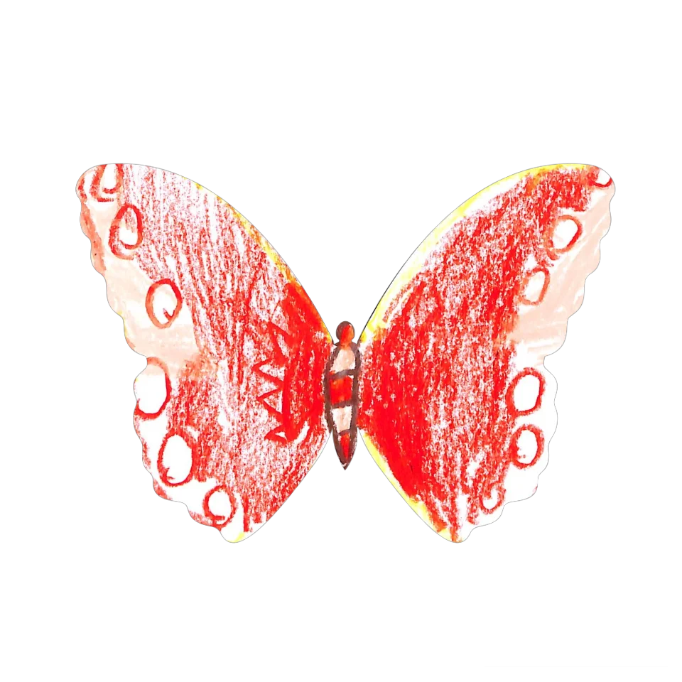 Original Butterfly Image