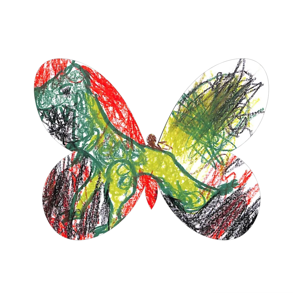 Original Butterfly Image