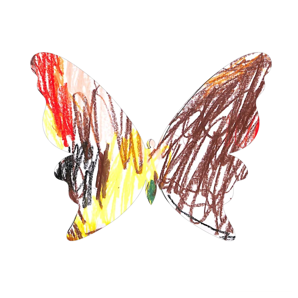 Original Butterfly Image