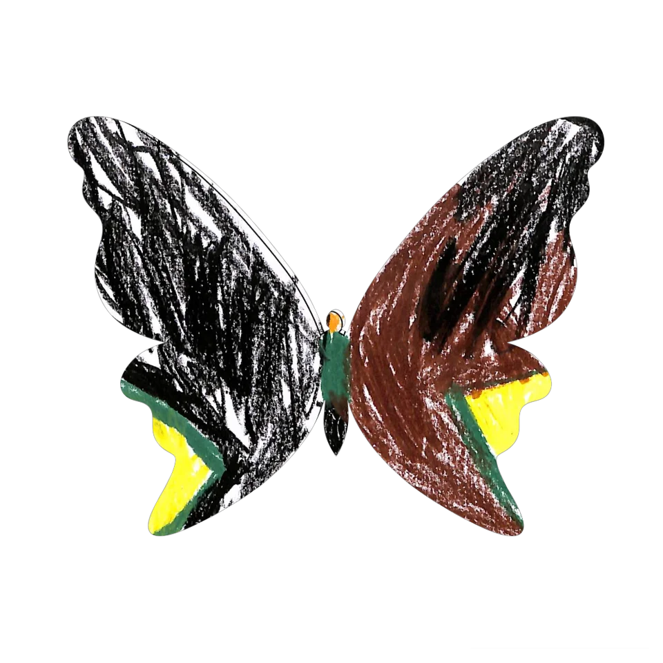 Original Butterfly Image
