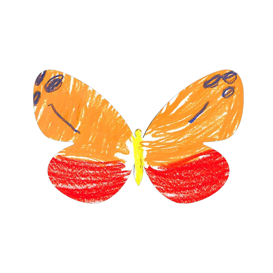Original Butterfly Image