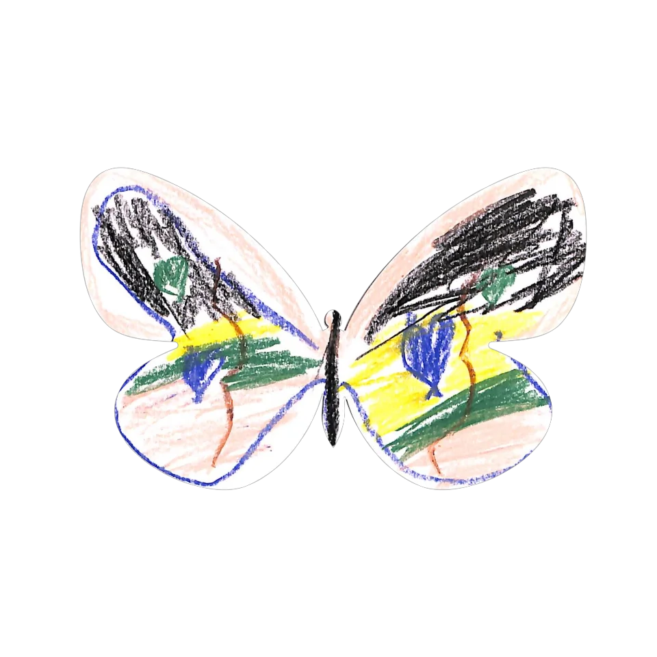 Original Butterfly Image