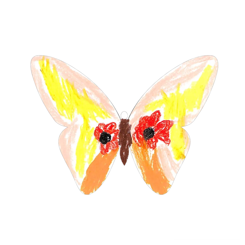 Original Butterfly Image