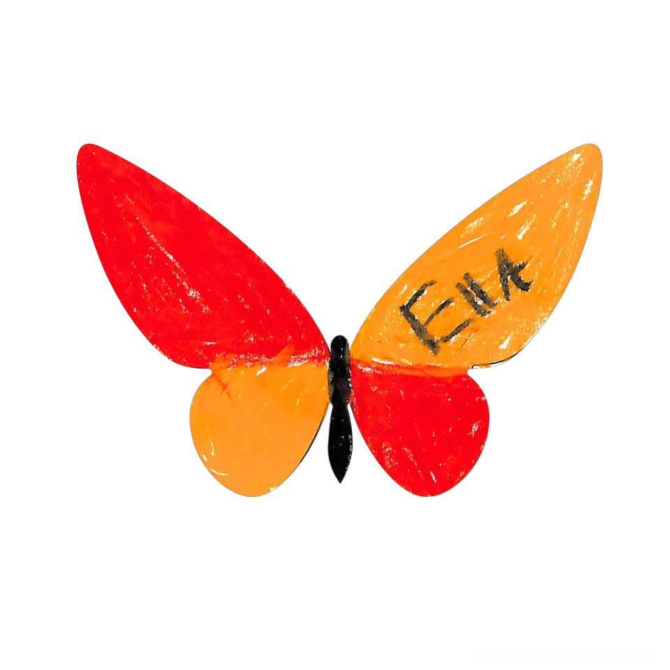 Original Butterfly Image
