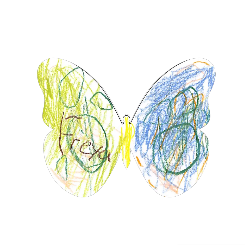 Original Butterfly Image