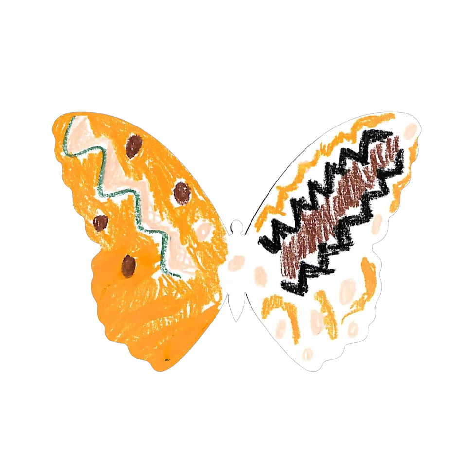 Original Butterfly Image