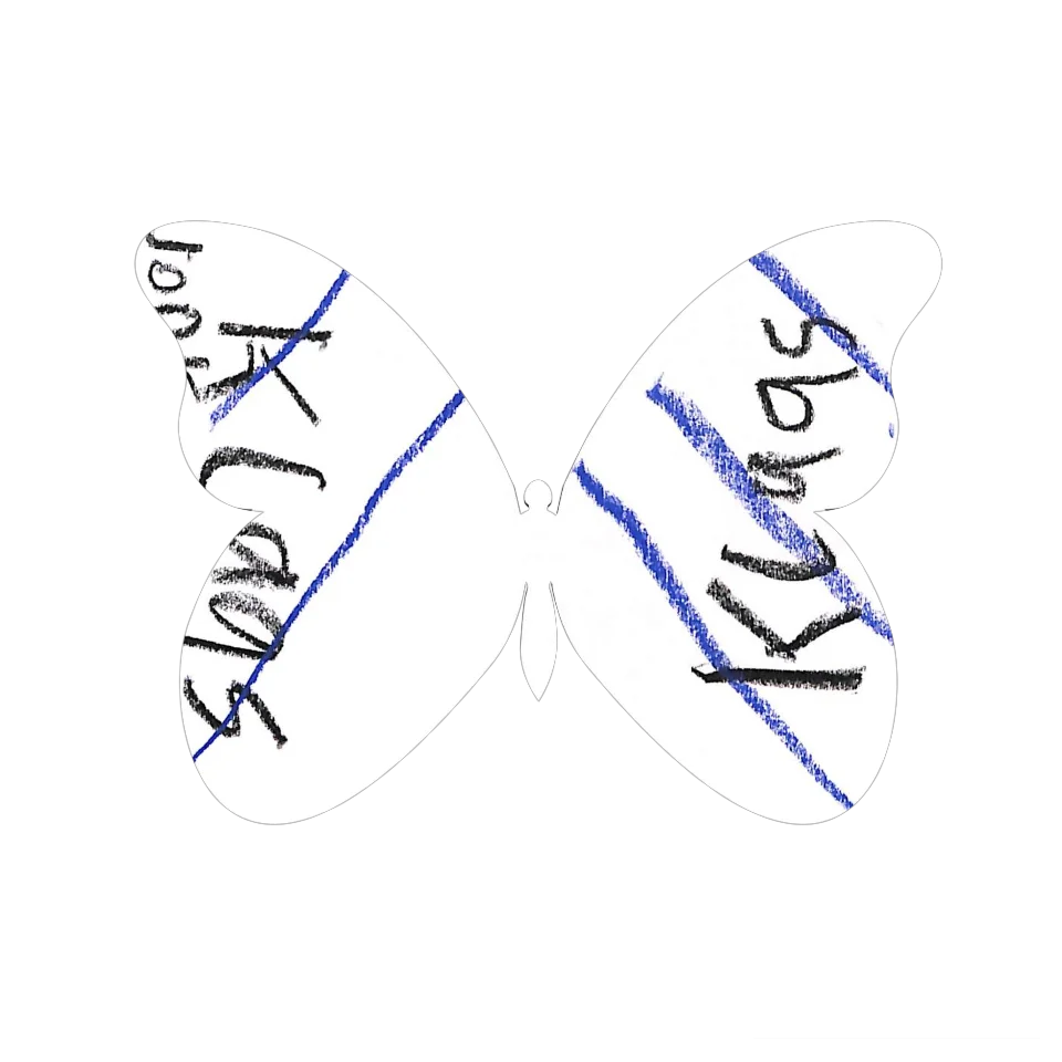 Original Butterfly Image