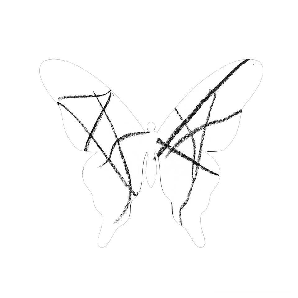 Original Butterfly Image