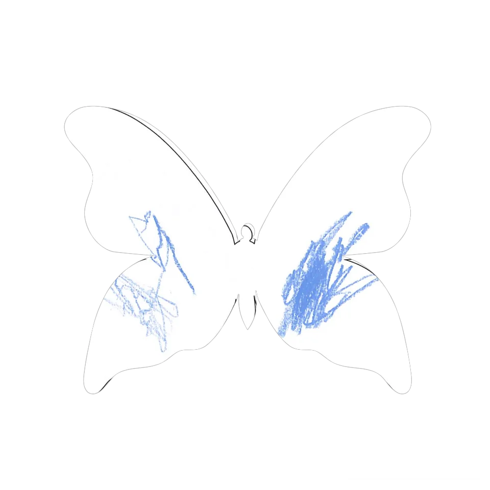 Original Butterfly Image