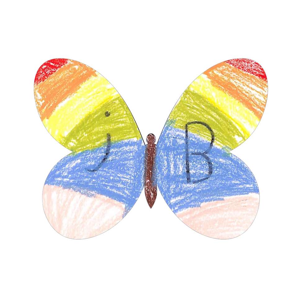 Original Butterfly Image