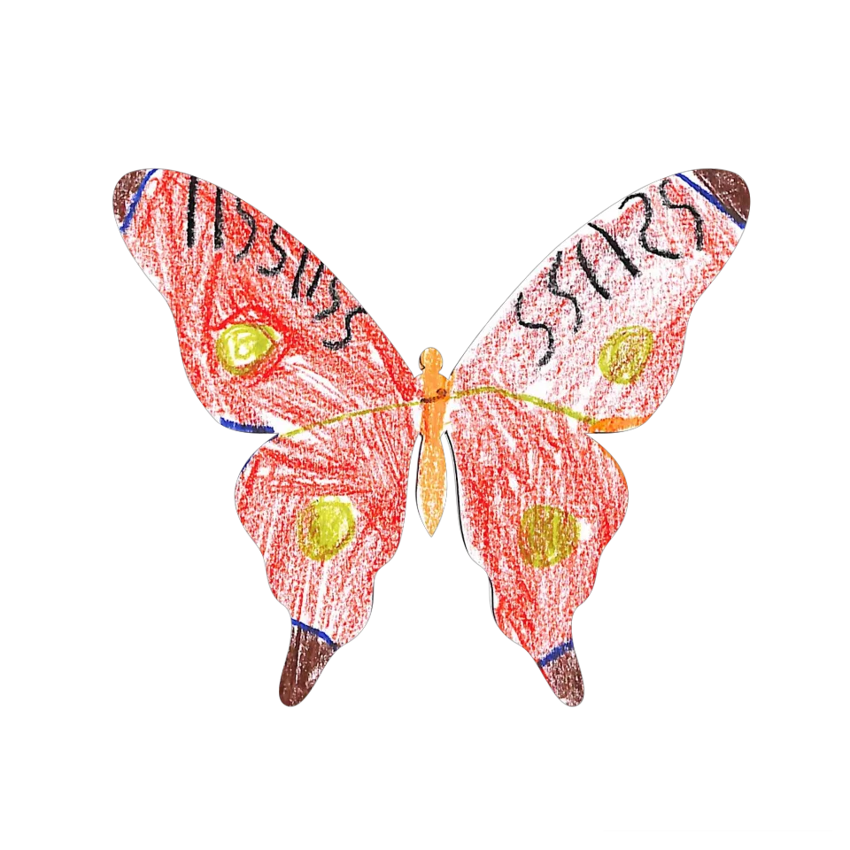 Original Butterfly Image