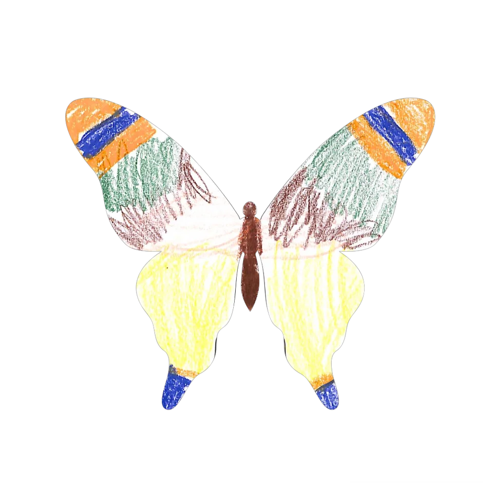 Original Butterfly Image