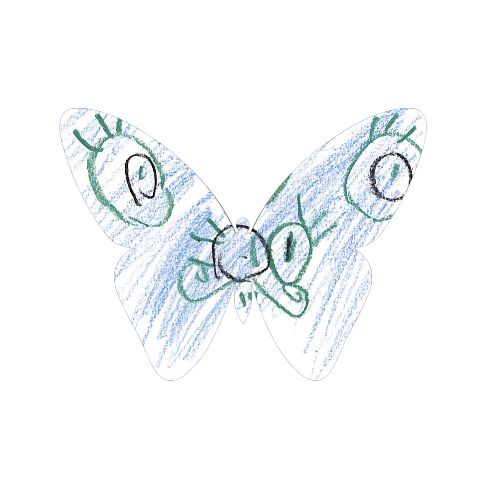 Original Butterfly Image