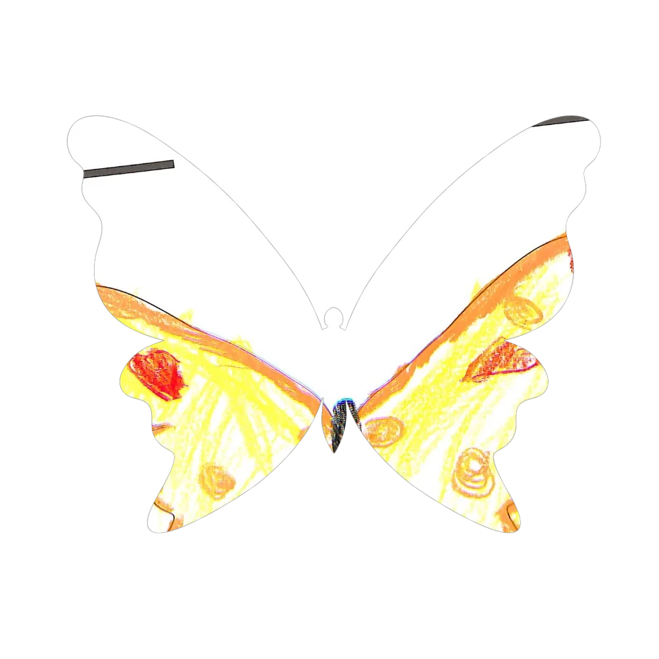 Original Butterfly Image