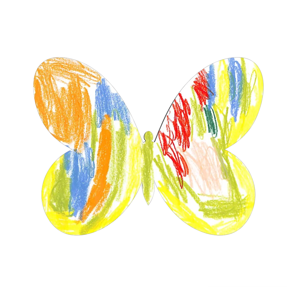Original Butterfly Image