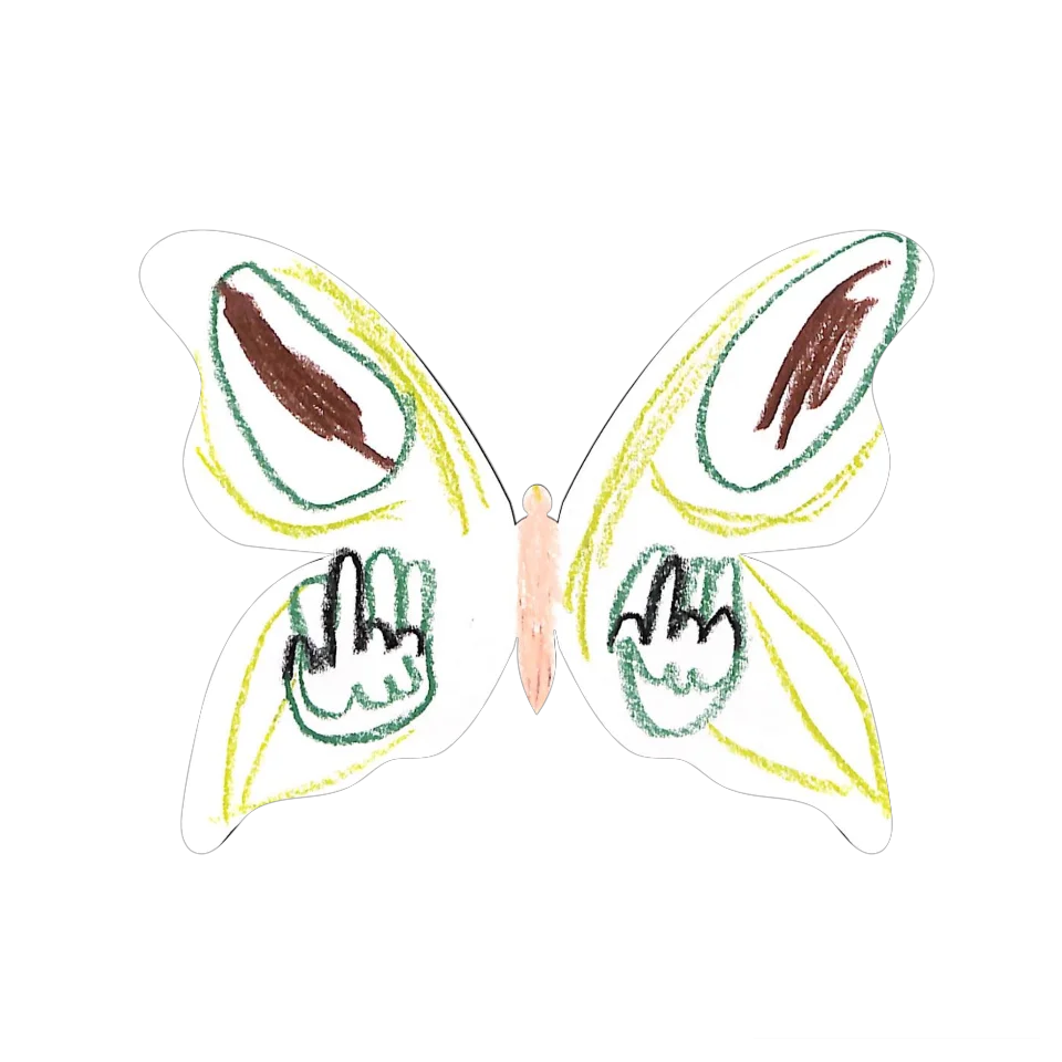 Original Butterfly Image