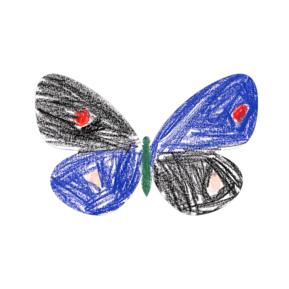 Original Butterfly Image